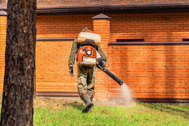 Trusted Ant Control service in Shannondale, WV - Nex Pest Control
